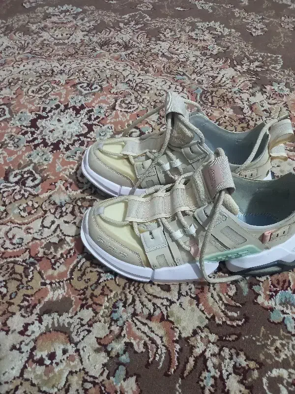 کفش|کیف، کفش، کمربند|مشهد, کلاته برفی|دیوار