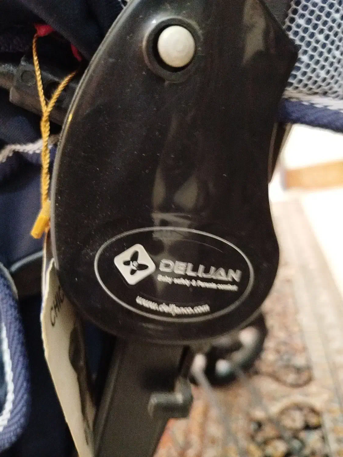 کالسکه دلیجان اصل|کالسکه و لوازم جانبی|کوهسار (البرز), |دیوار