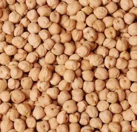 نخود تازه|خوردنی و آشامیدنی|نسیمشهر, |دیوار