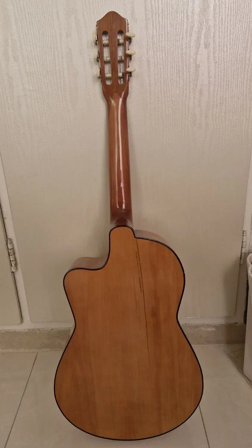 گیتار نو|گیتار، بیس، امپلیفایر|فردیس, سرحدی|دیوار