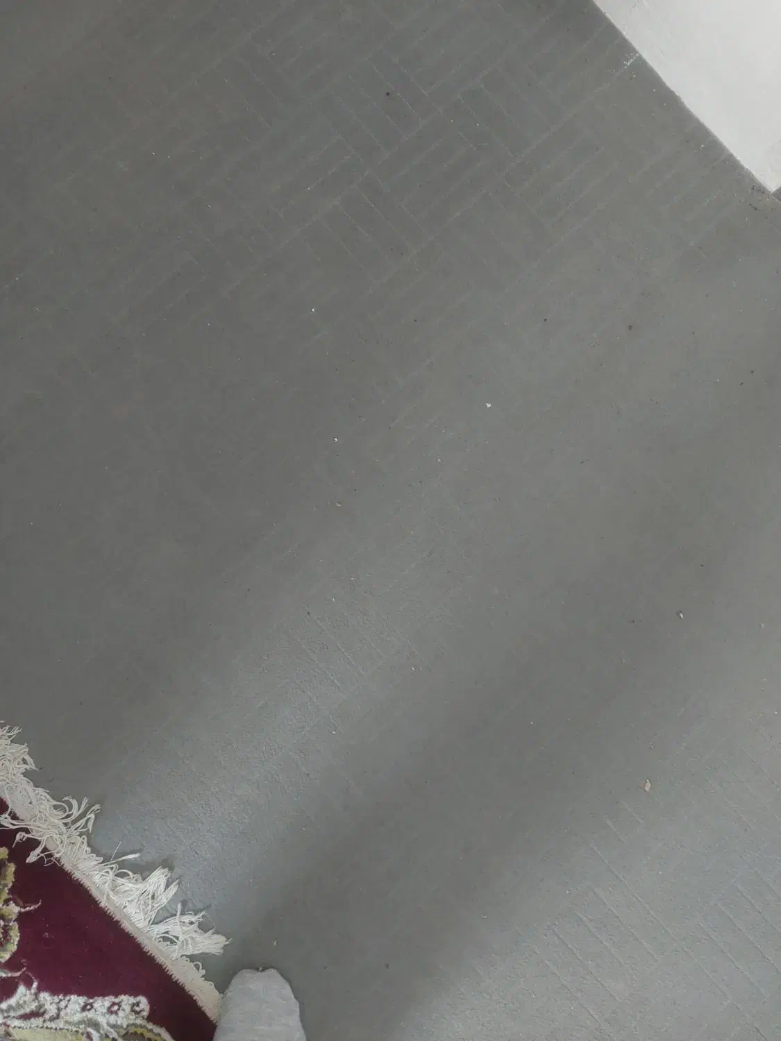 موکت.رنگ طوسی|موکت|بندر گز, |دیوار