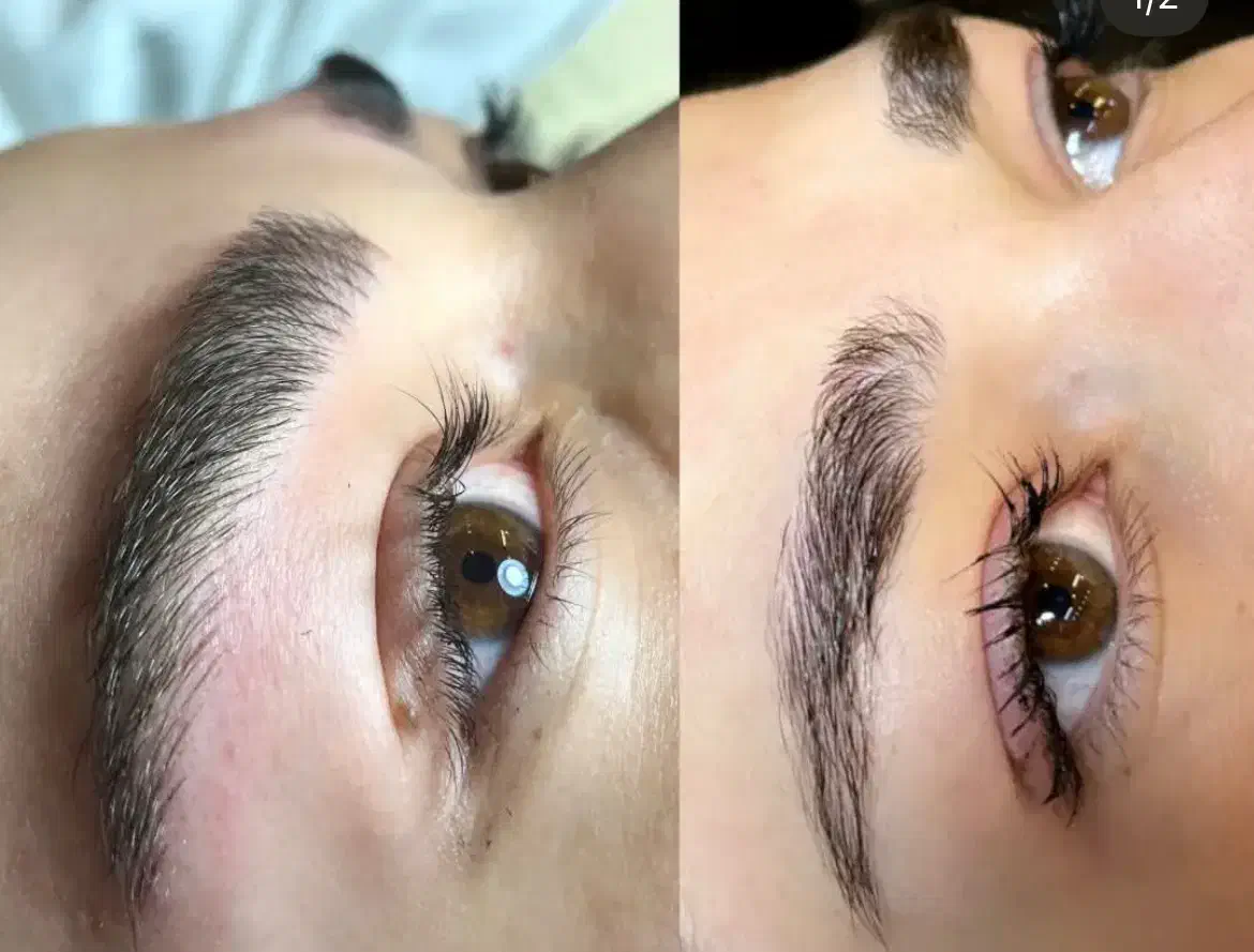 انجام تخصصی فیبرو و میکروبلیدینک وشیدلب|خدمات آرایشگری و زیبایی|شیراز, سیلو|دیوار