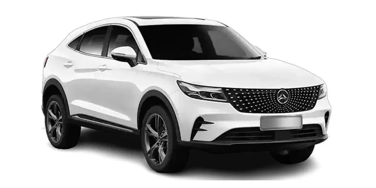 دیگنیتی پرایم|خودرو سواری و وانت|تهران, فدک|دیوار