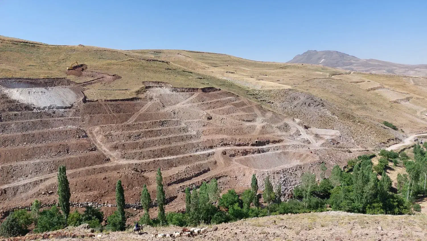 اجاره بیل میکانیکی  زنجیری ۲۳۰|خدمات حمل و نقل|اسکو, |دیوار