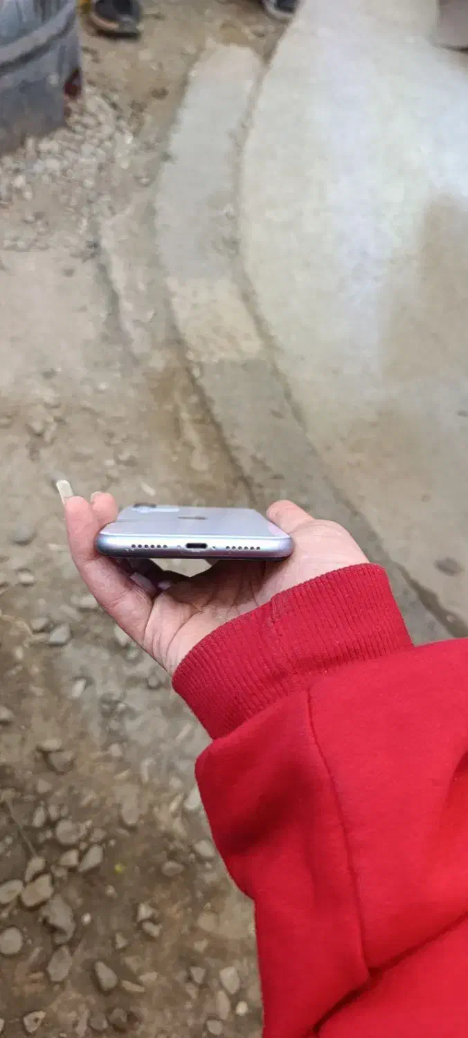 iphone 11|موبایل|فومن, |دیوار