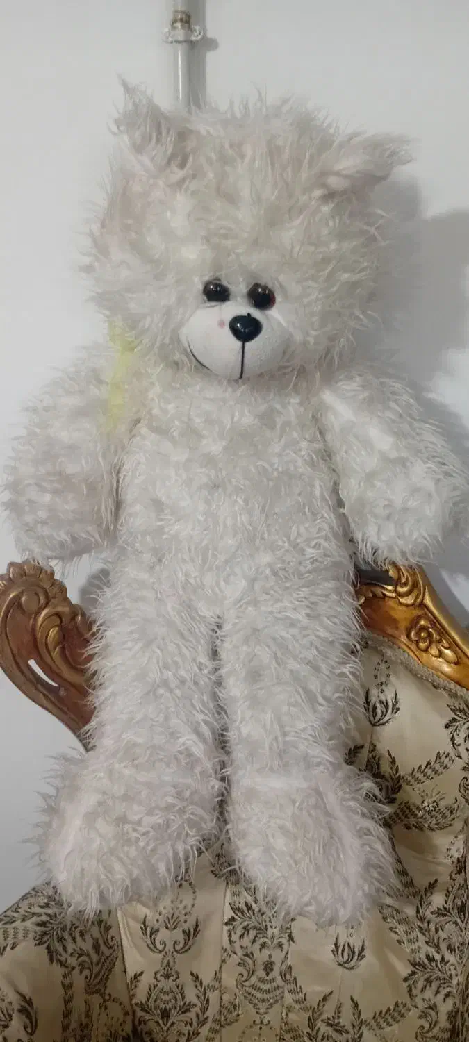 عروسک|اسباببازی|زنجان, |دیوار