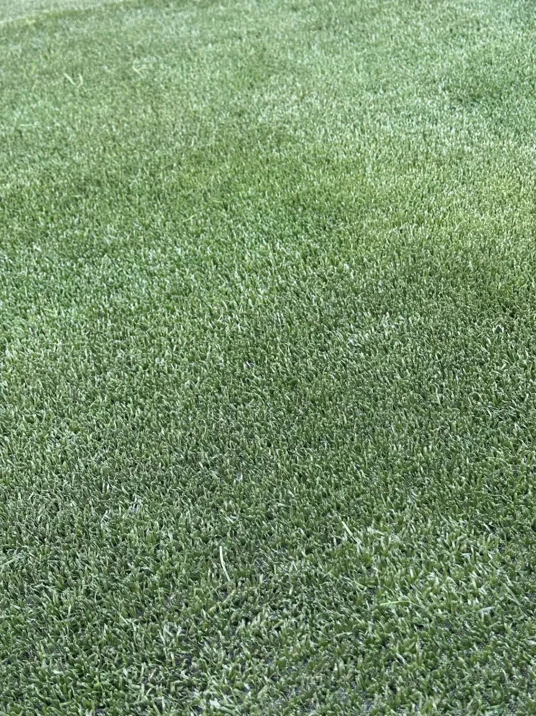 چمن مصنوعی کارکرده|مصالح و تجهیزات ساختمان|رباطکریم, نصیرشهر|دیوار