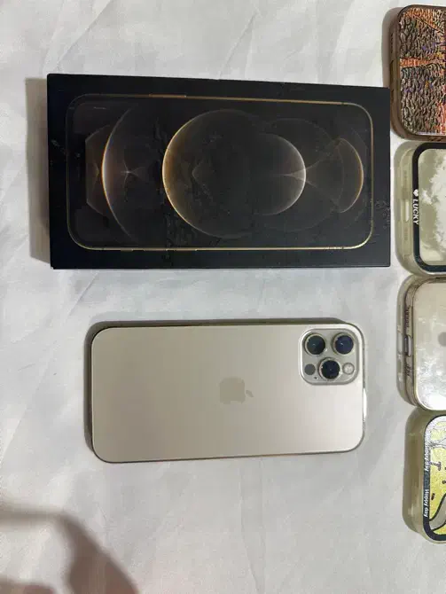 ایفون ۱۲ پرو|موبایل|مشهد, وحید|دیوار