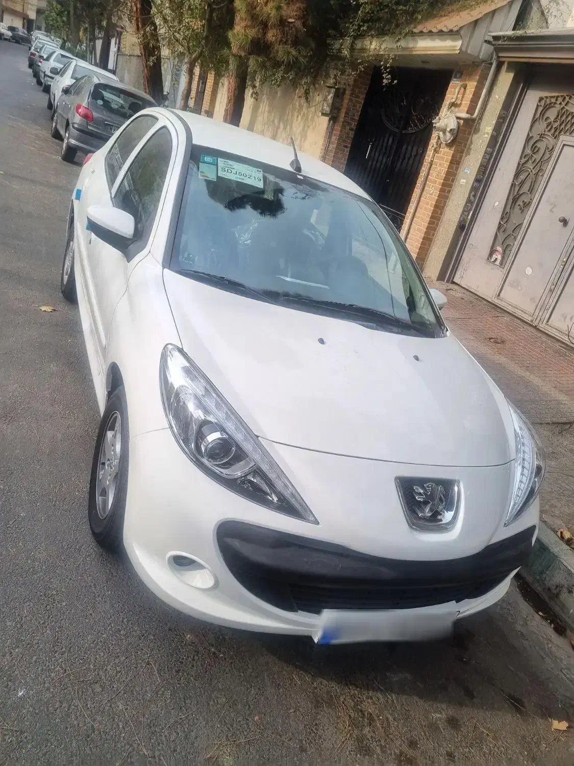 207 اتومات سقف فلز|خودرو سواری و وانت|تهران, بلوار کشاورز|دیوار