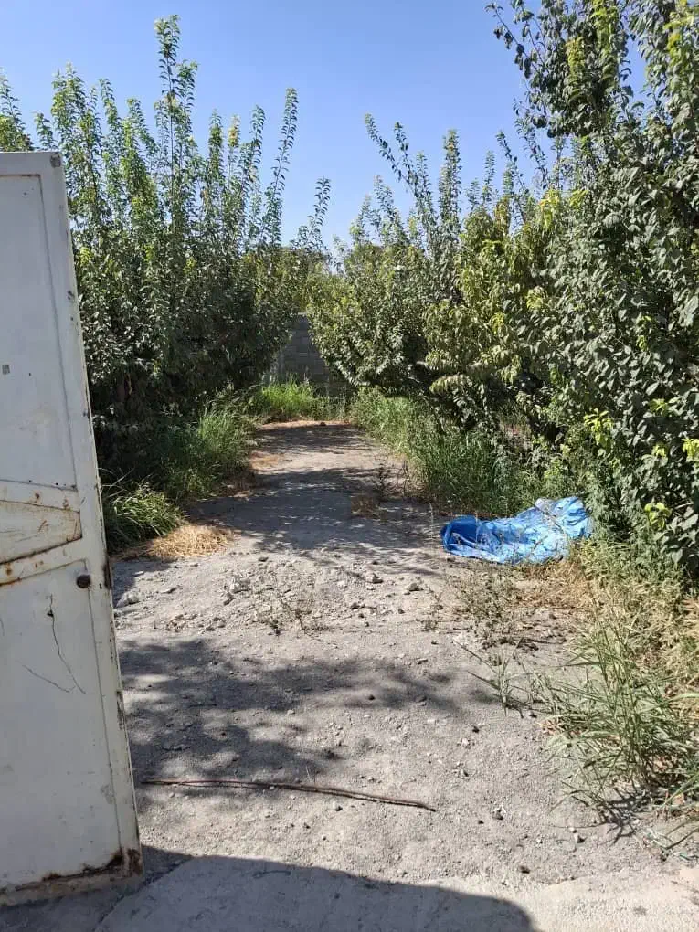 فروش باغچه ۸۶۰ متری|فروش دفتر صنعتی، کشاورزی، تجاری|باغستان, |دیوار