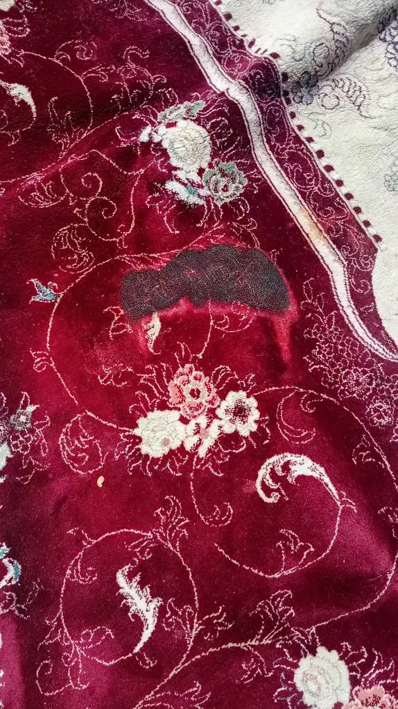 قالی ۱۲ متری|فرش|فسا, |دیوار