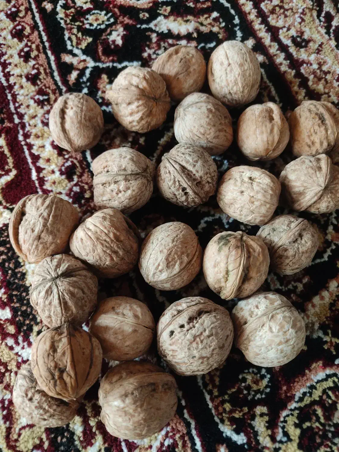 گردو|خوردنی و آشامیدنی|پاوه, |دیوار