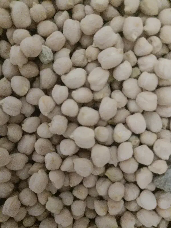 نخود محلی|خوردنی و آشامیدنی|مرودشت, نقش رستم|دیوار