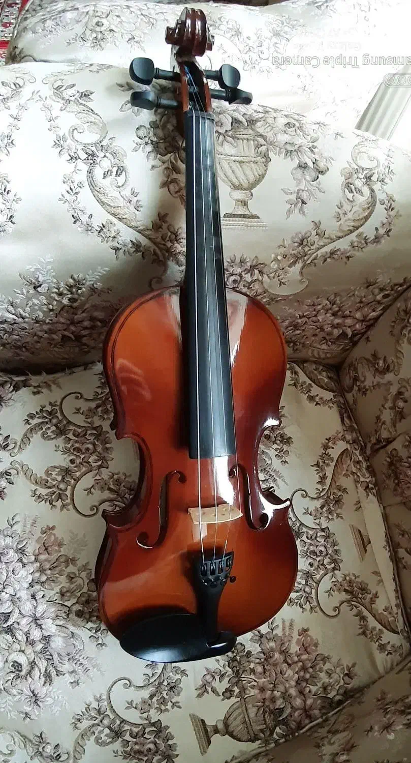 ویلن ماویز|ویولن|تبریز, |دیوار