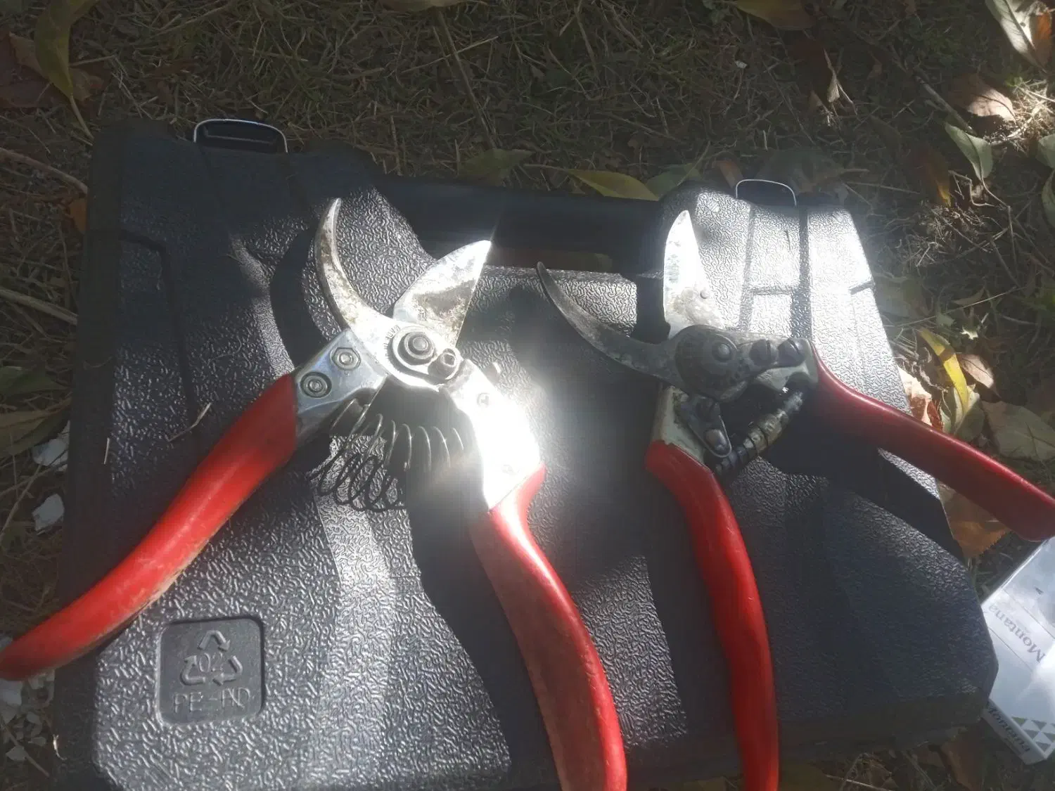 هرس کاری انواع درختان|خدمات باغبانی و درختکاری|نوشین شهر, |دیوار