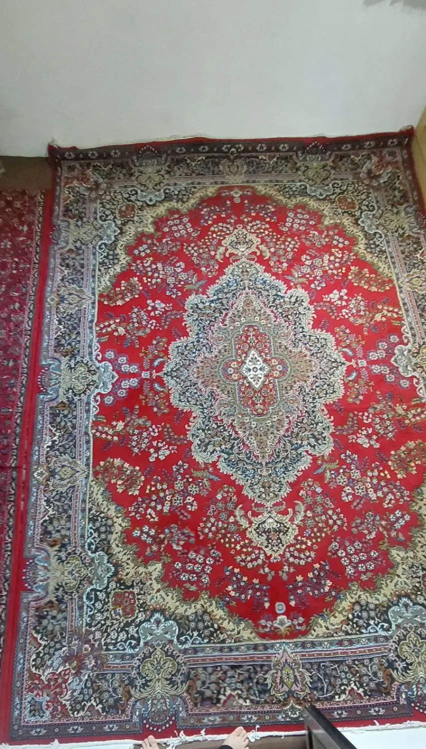 فرش ۹متری|فرش|رشت, سعدی (تختی)|دیوار