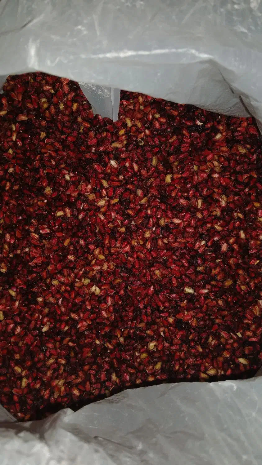 ناردونه|خوردنی و آشامیدنی|رستم, |دیوار