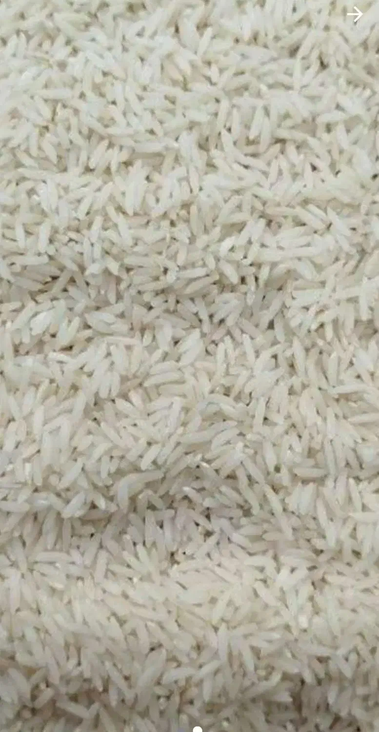 برنج کشت دوم پخت عالی|خوردنی و آشامیدنی|بابلسر, |دیوار