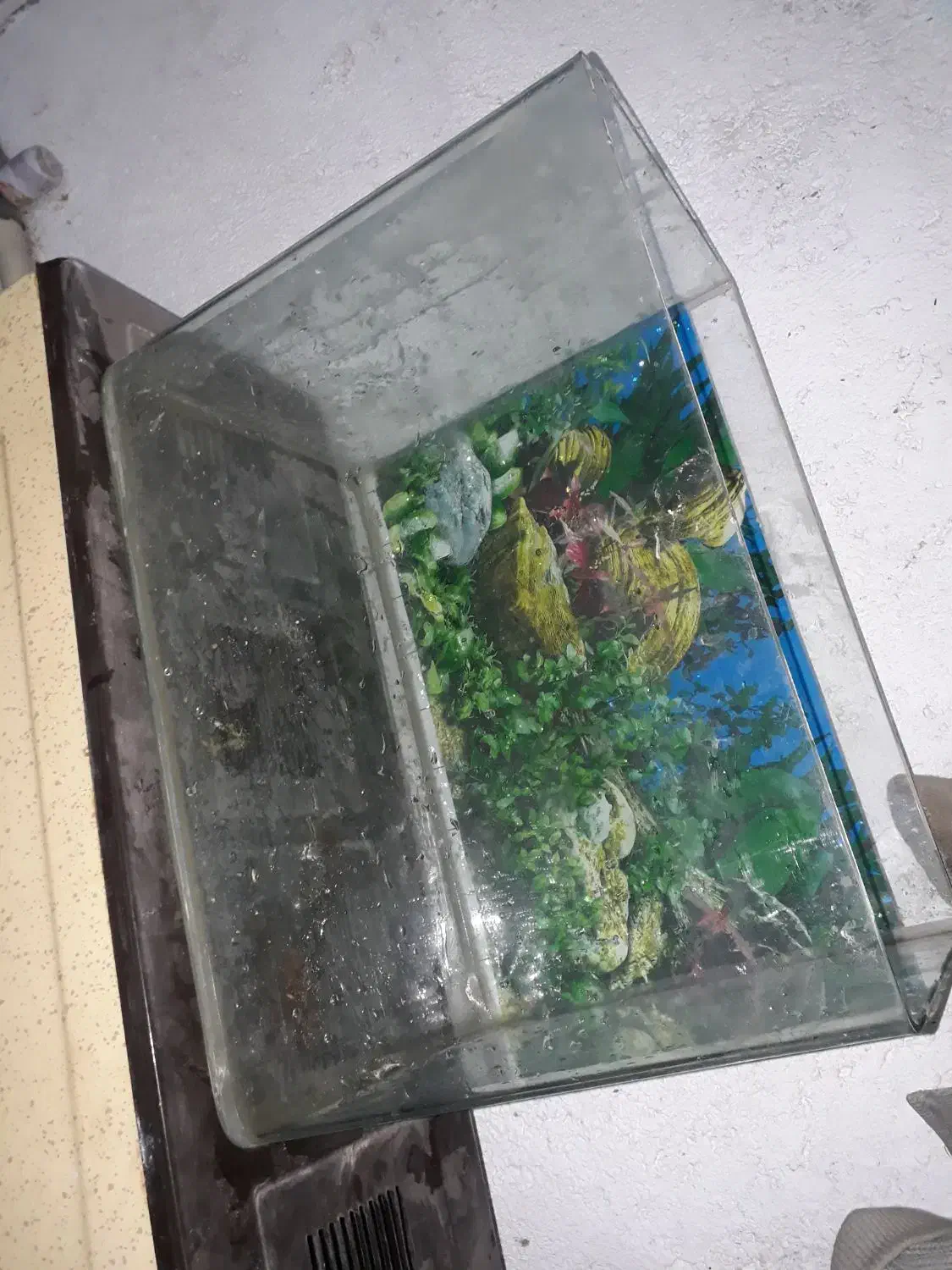 آکواریوم شیشه خم|ماهی|سبزوار, شهرک صنعتی فرودگاه|دیوار