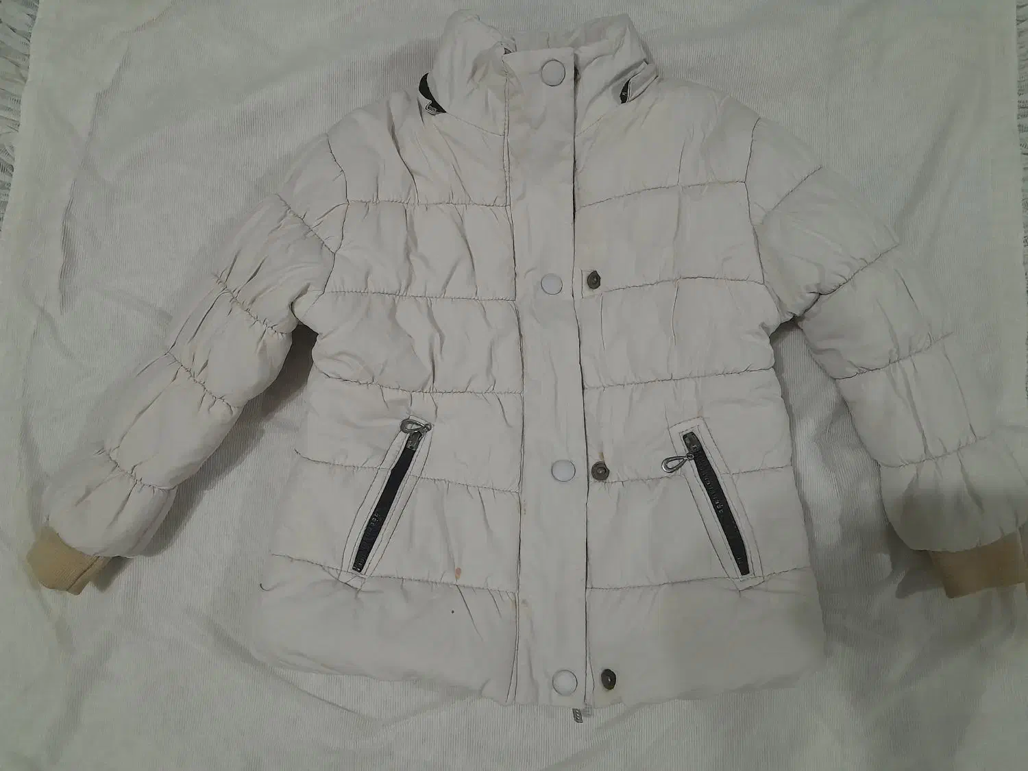 انواع لباس بچگانه و زنانه|لباس|مشهد, تربیت (صدف)|دیوار