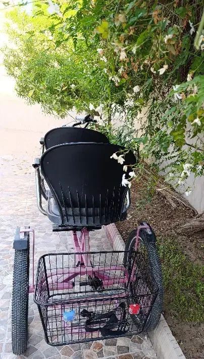 فروش سه چرخه دو نفره صورتی|دوچرخه، اسکیت، اسکوتر|شیراز, پادگان ولیعصر|دیوار