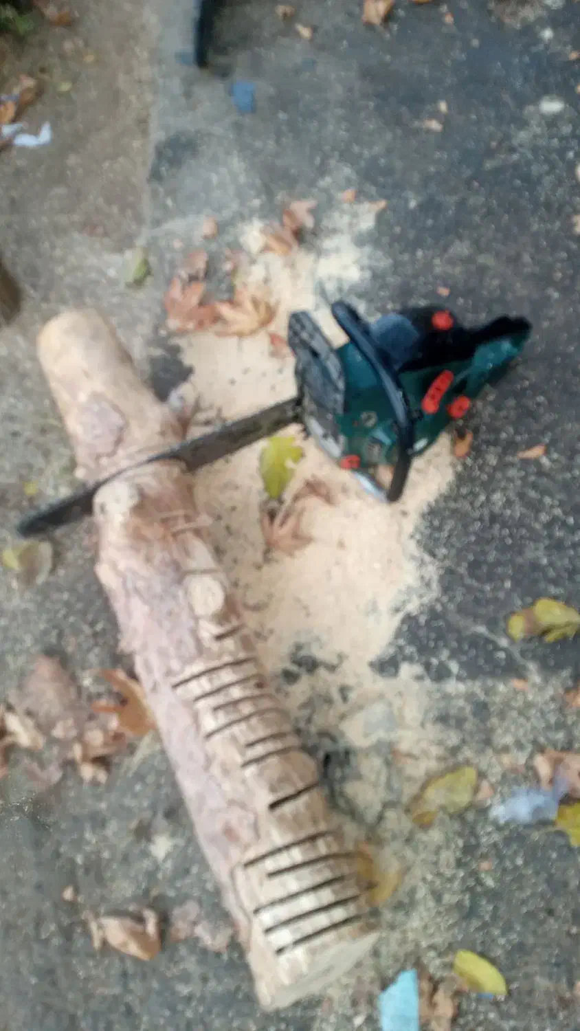 اره برقی کرایه ای|ابزارآلات|سبزوار, شهرک صنعتی خاوران|دیوار