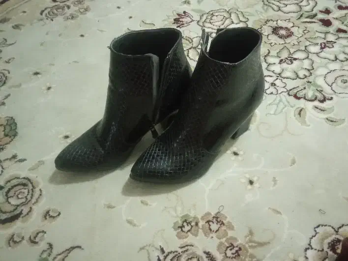 بوت شیک|کیف، کفش، کمربند|پارس‌آباد, |دیوار