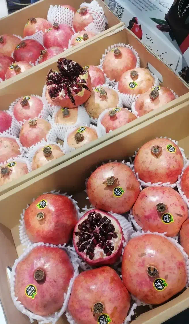 توزیع انواع میوه به مغازه داران و ارگان های دولتی|عمدهفروشی|تهران, میدان میوه و ترهبار مرکزی|دیوار