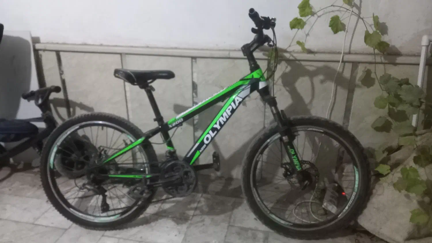 دوچرخه سایز 24 المپیا 21 دنده حرفه ای|دوچرخه، اسکیت، اسکوتر|چناران, |دیوار