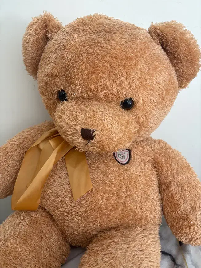 خرس‌ مودب|اسباب‌‌بازی|تهران, زیبادشت|دیوار