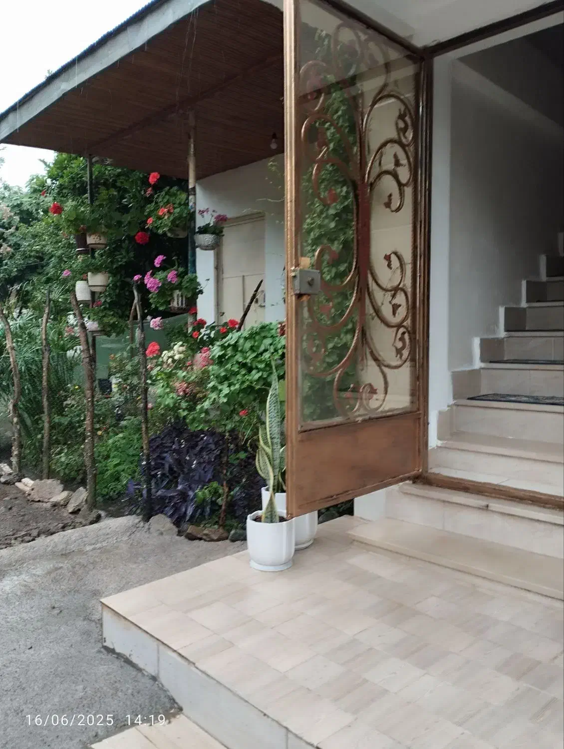 اجاره آپارتمان یک خوابه نوساخت|اجارهٔ کوتاهمدت آپارتمان و سوئیت|ماسال, |دیوار