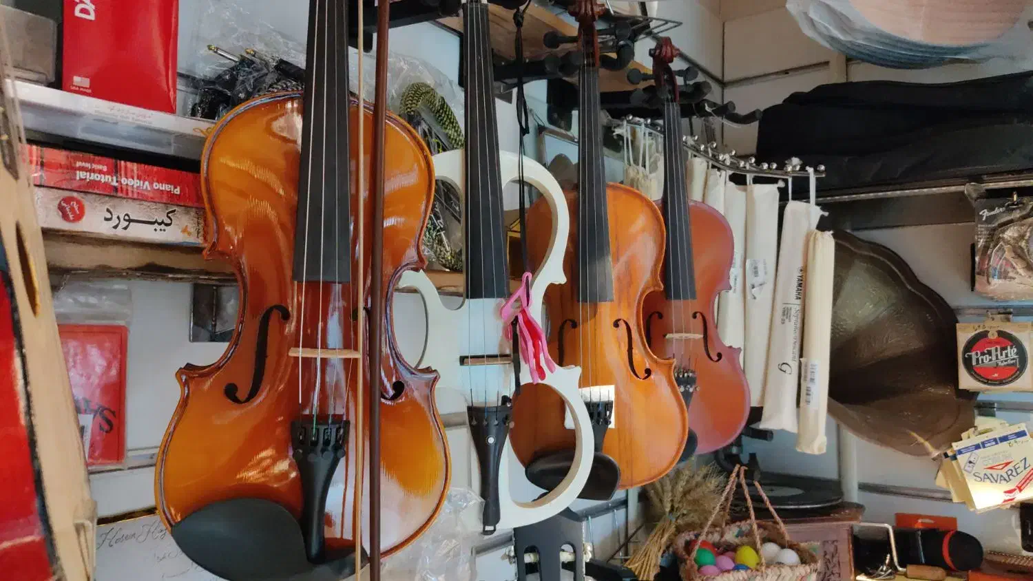 ویولن|ویولن|بندرعباس, |دیوار