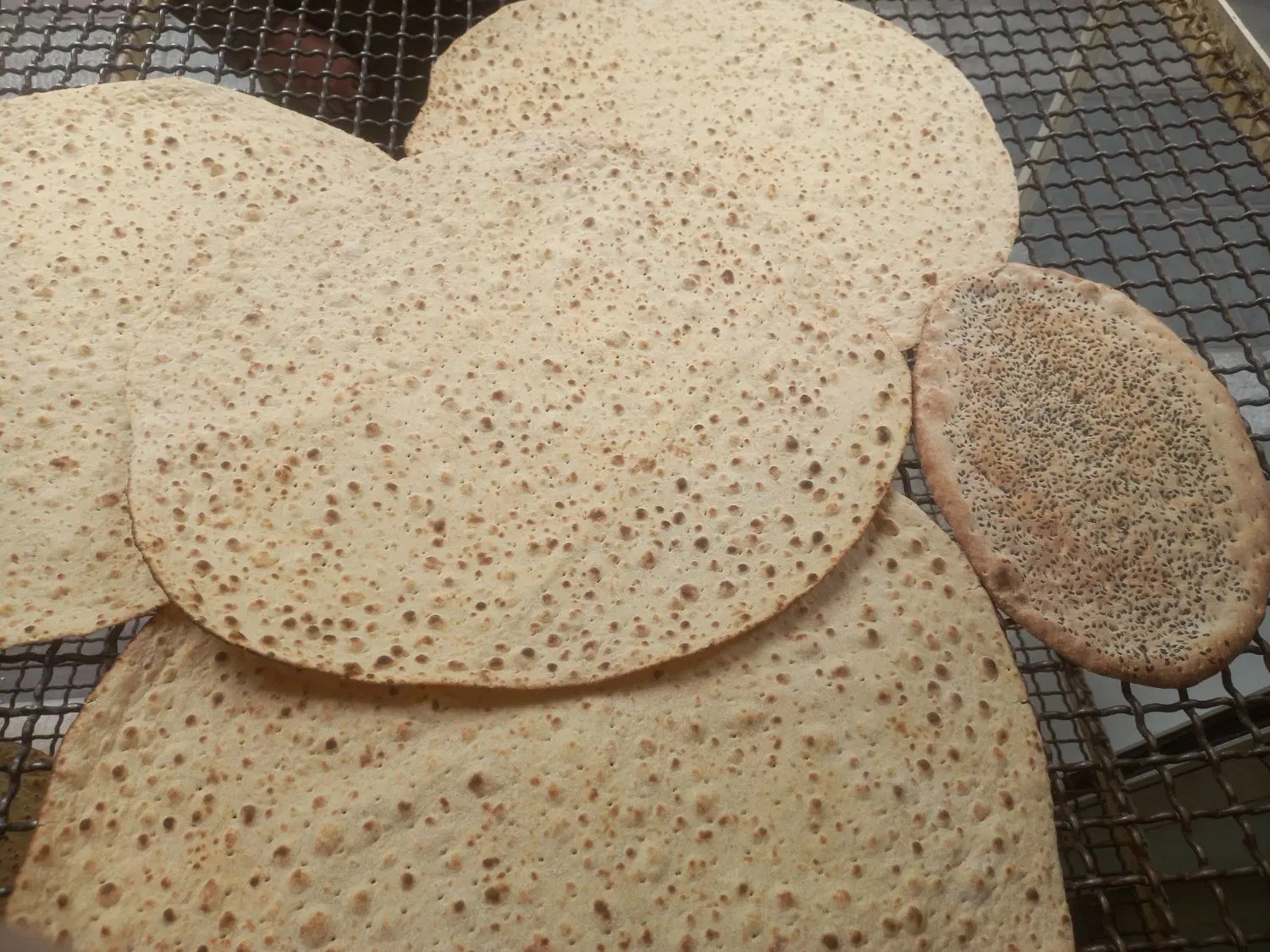 نان سنتی باآردکامل سبوس دار|خوردنی و آشامیدنی|تهران, خواجه نصیر طوسی|دیوار
