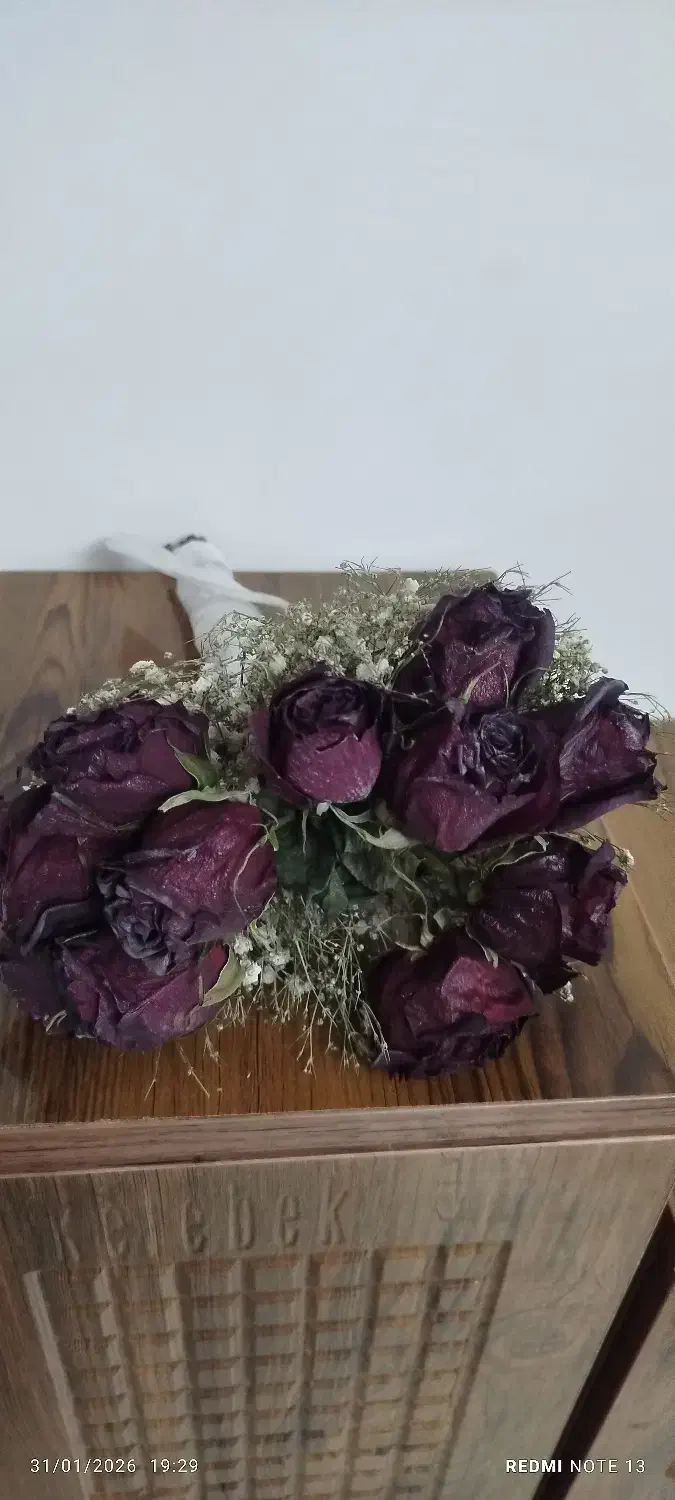 سرگرمی وفراغت|کلکسیون و سرگرمی|تبریز, |دیوار