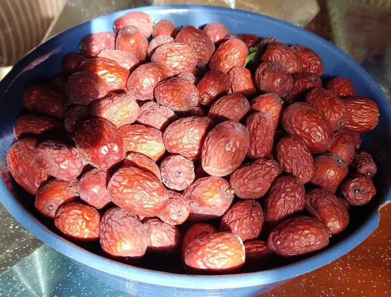 عناب تازه درجه یک|خوردنی و آشامیدنی|فولادشهر, B2|دیوار