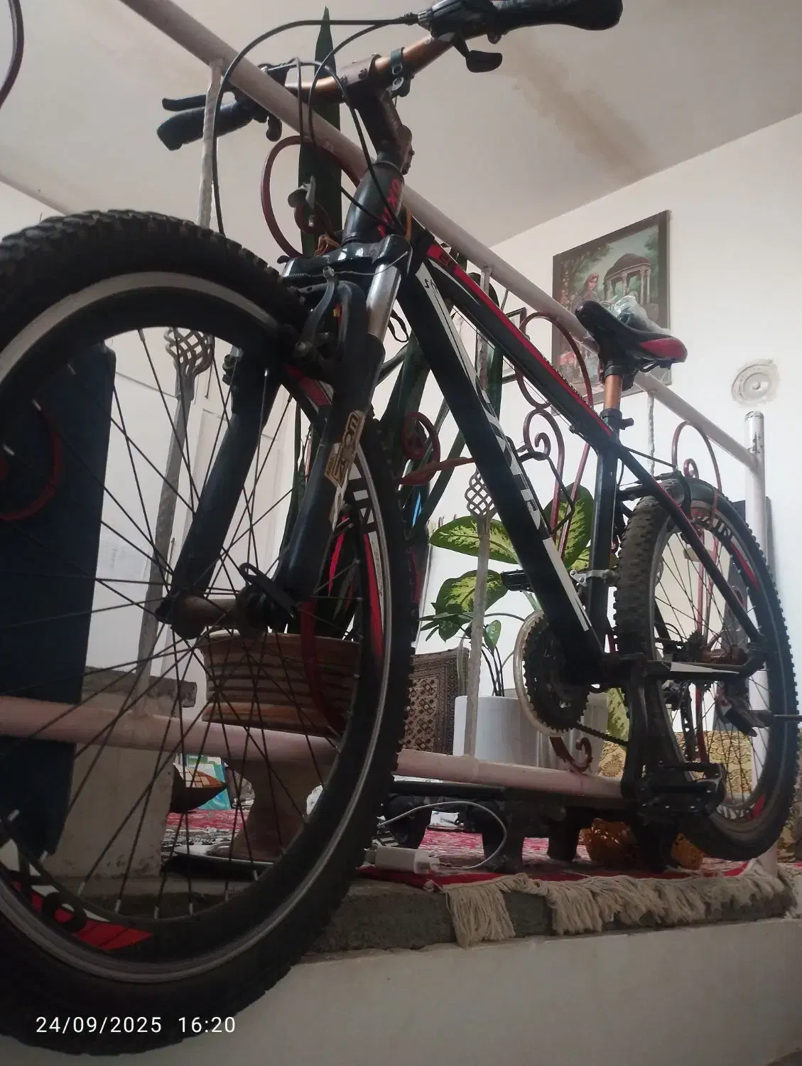 چرخ OXlN سایز26|دوچرخه، اسکیت، اسکوتر|چناران, |دیوار