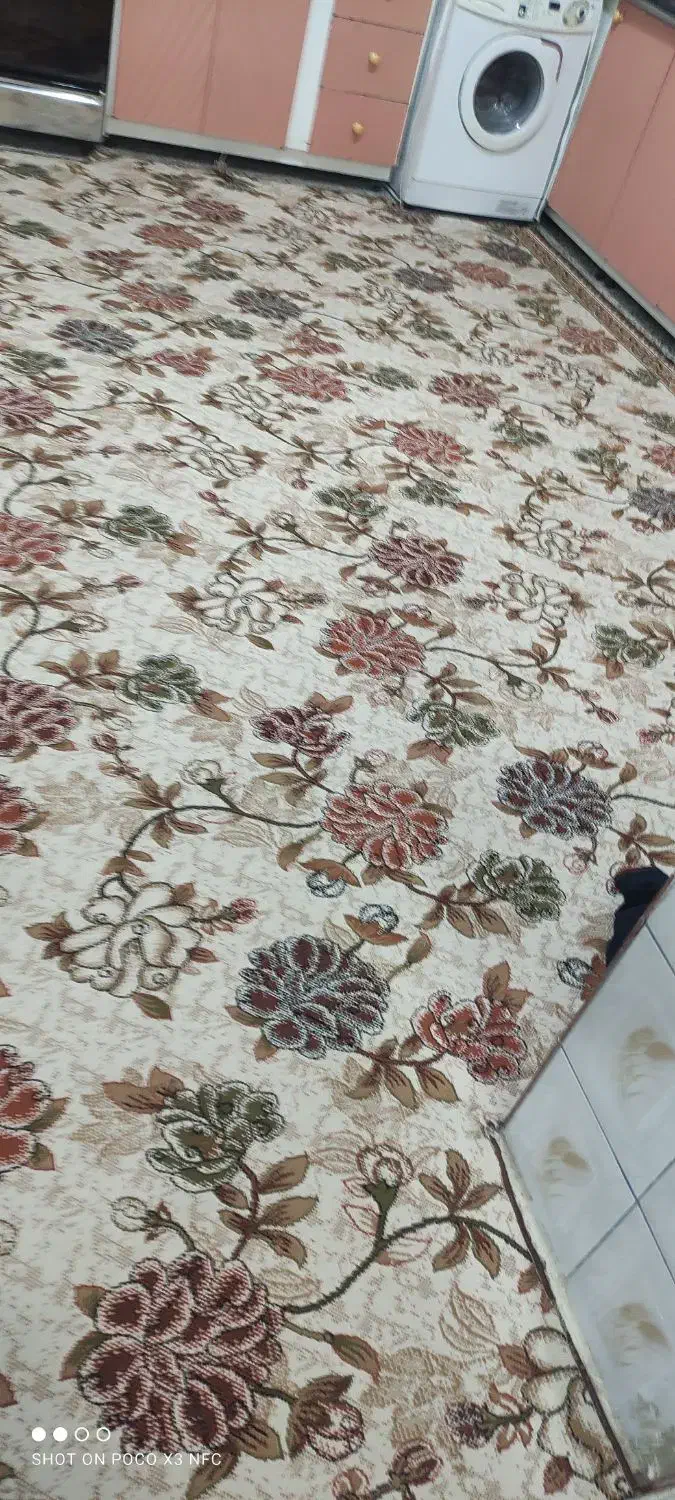 گلیم ۱۲ متری|گلیم، جاجیم، گبه|ایلام, |دیوار