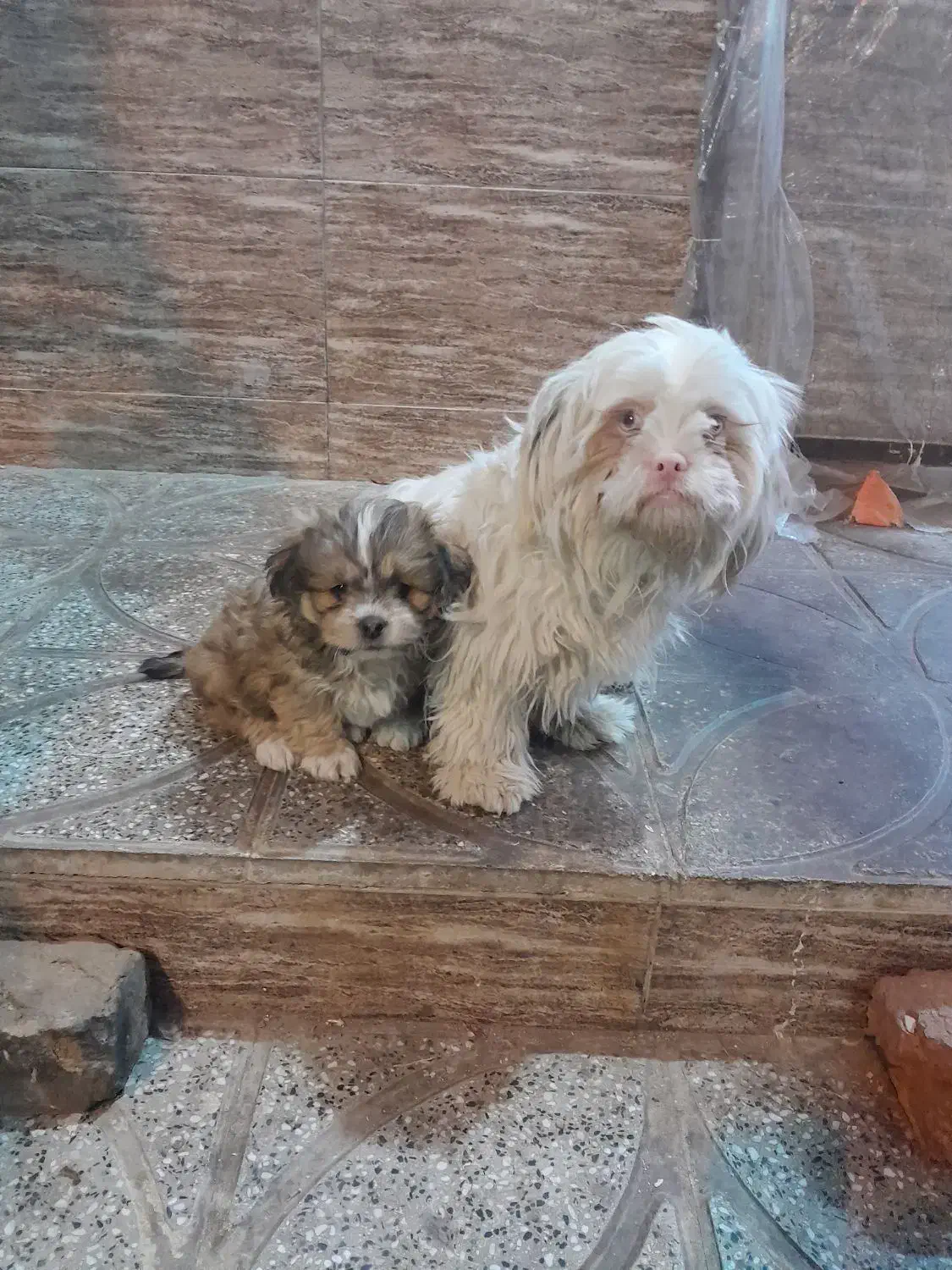 سگ پا کو تا|سگ|قم, منبع آب|دیوار