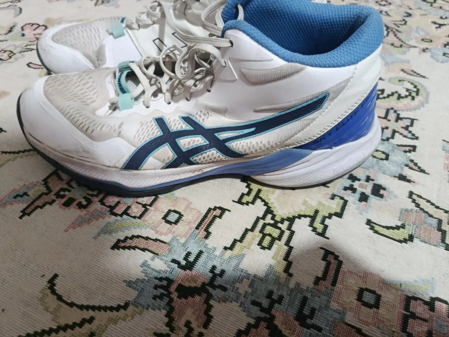 کفش والیبال|کیف، کفش، کمربند|گلبهار, شهر جدید گلبهار|دیوار