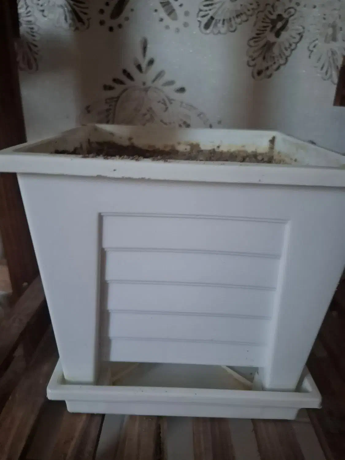 گلدان|گل و گیاه طبیعی|آذرشهر, |دیوار