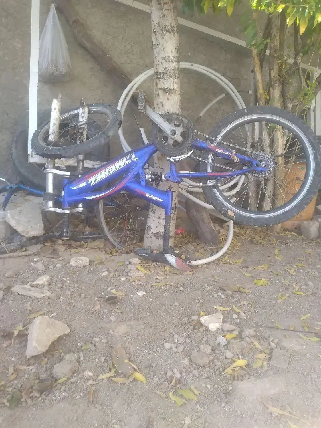 دوچرخه|دوچرخه، اسکیت، اسکوتر|اردل, |دیوار