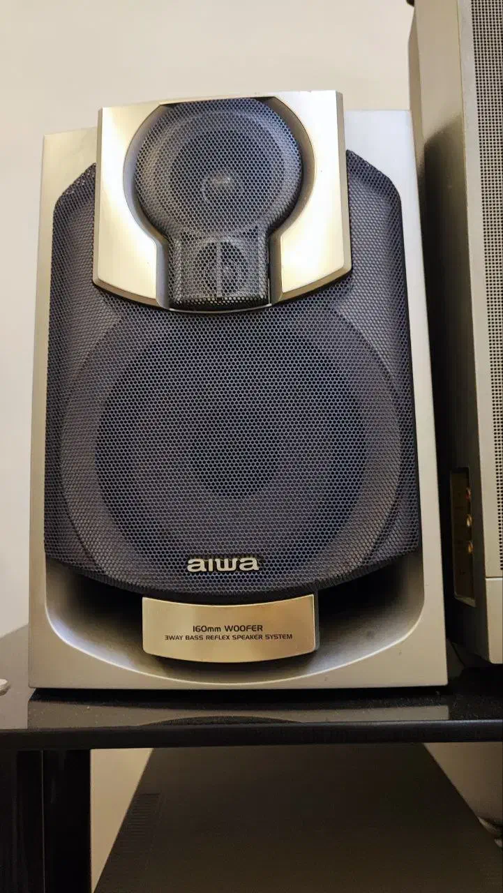 باند اصلی اورجینال عروسی|سیستم صوتی خانگی|رشت, کاکتوس|دیوار