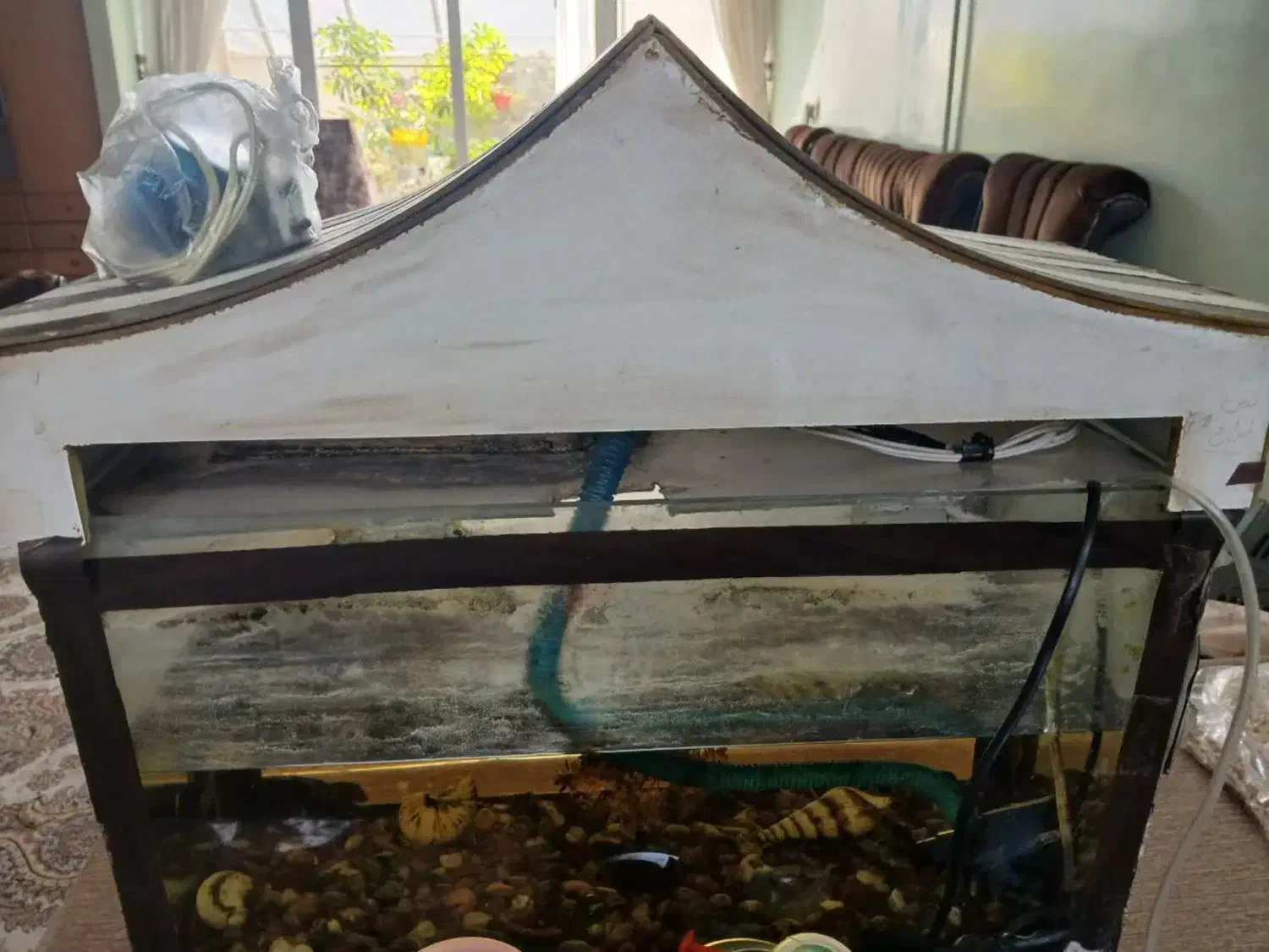 آکواریوم|ماهی|اصفهان, ارداجی|دیوار