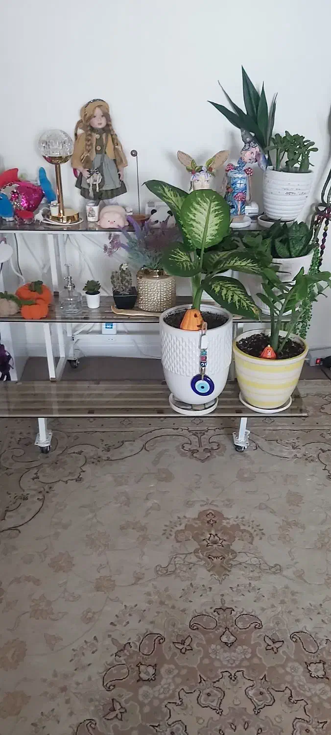 شلف زمینی آهنی|کتابخانه، شلف، قفسههای دیواری|اسلامشهر, شهرک واوان|دیوار