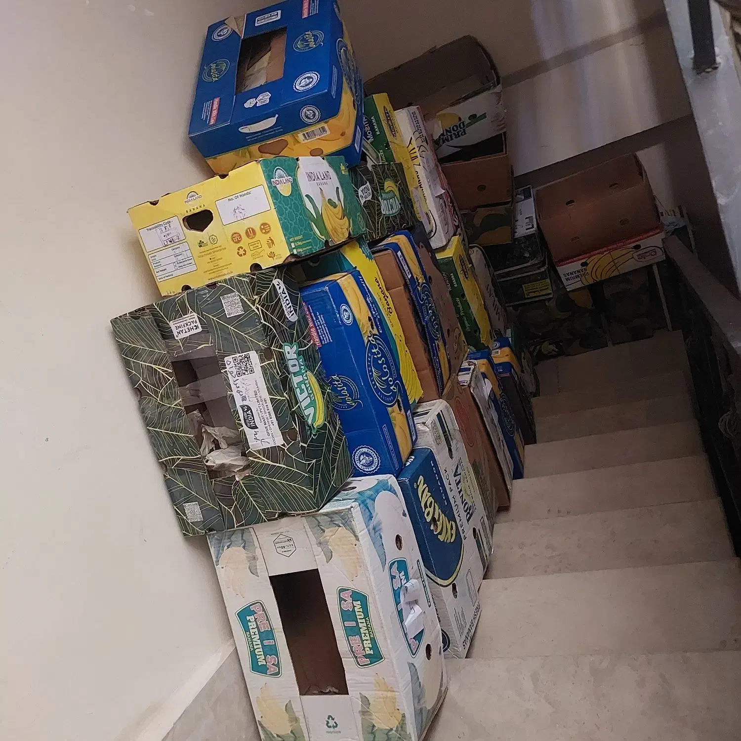 جعبه موز|حراج|رشت, پل تالشان|دیوار