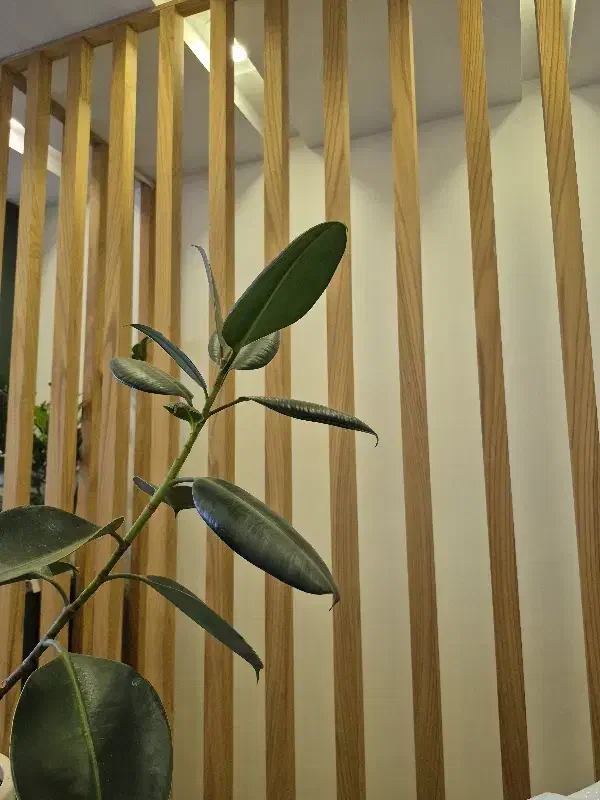 نیروی خدماتی|استخدام سرایداری و نظافت|تهران, کامرانیه|دیوار