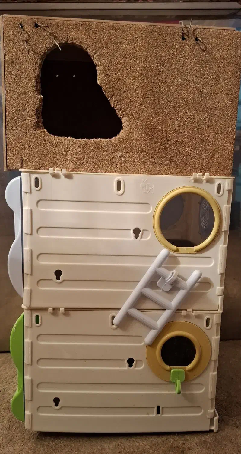 ۳ عدد لانه پرنده|لوازم جانبی حیوانات|همدان, |دیوار