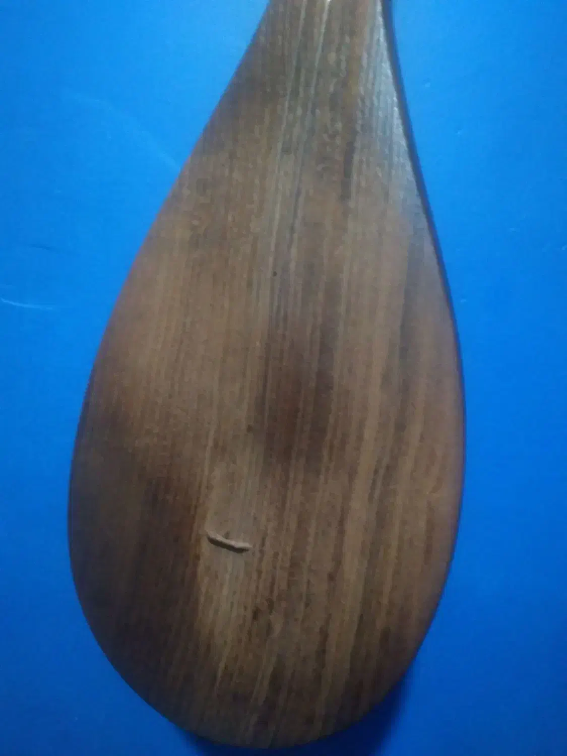 دوتار خراسان|سازهای سنتی|تهران, فلسطین (میدان انقلاب)|دیوار