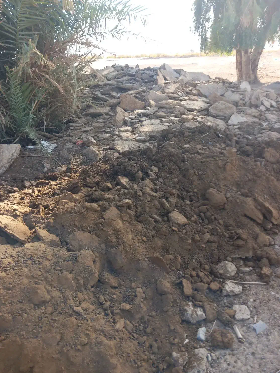 کود گاو گوسفند قاطی|لوازم جانبی حیوانات|جیرفت, |دیوار