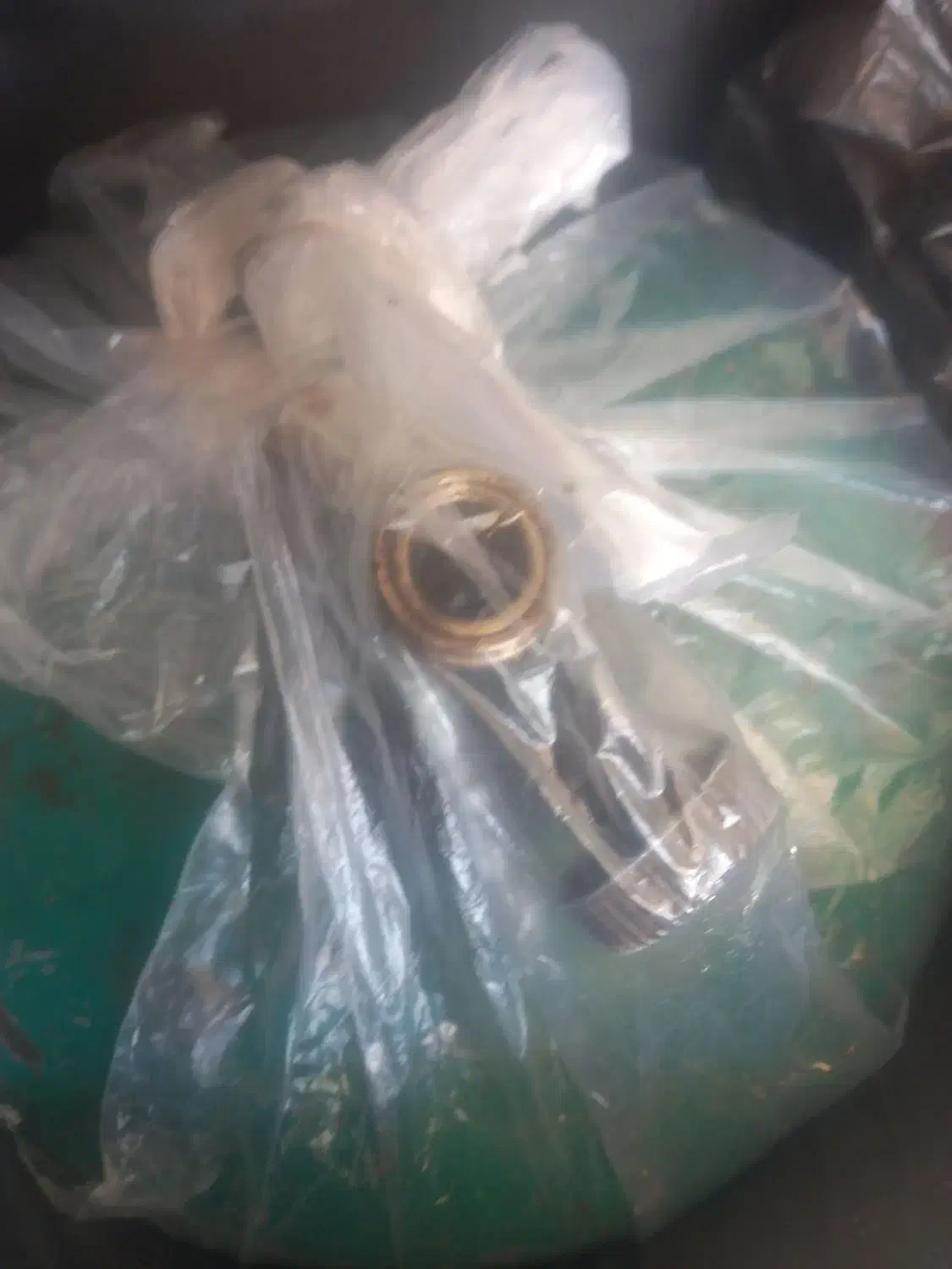 فروش پیکنیک سربزرگ|اجاق گاز و لوازم برقی پخت‌وپز|تربت‌حیدریه, کلاته توکلی|دیوار